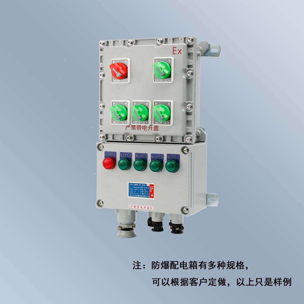 BXM(D)58 系列防爆照明(動(dòng)力)配電箱 (ⅡB、ⅡC、DIP)